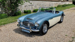 AUSTIN HEALEY 3000 MK1 BN7 1960