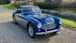 AUSTIN HEALEY 100/6 1958