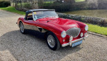 AUSTIN HEALEY BN1 1954