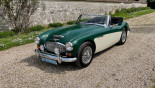 AUSTIN HEALEY 3000 MK3 BJ8 1966