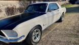 FORD MUSTANG 1967 COUPE V8