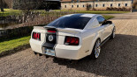 FORD MUSTANG SHELBY GT500 tribute Super Snake 2008