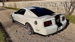 FORD MUSTANG SHELBY GT500 tribute Super Snake 2008