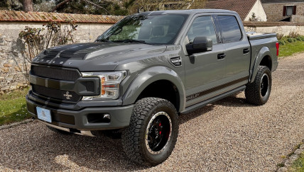 FORD F150 SHELBY OFFROAD...