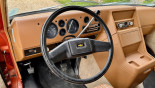 CHEVROLET CHEVY VAN G10 V8 5L de 1979