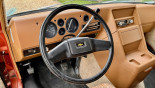 CHEVROLET CHEVY VAN G10 V8 5L de 1979