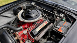 FORD THUNDERNIRD V8 1955