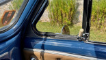 PEUGEOT 203 CABRIOLET 1953