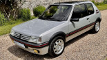 PEUGEOT 205 GTI 1.9 L  1991