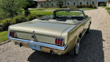 FORD MUSTANG GT CAB 1966