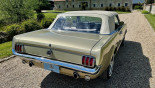 FORD MUSTANG GT CAB 1966
