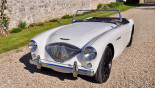 AUSTIN HEALEY 100/4  1955