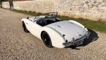 AUSTIN HEALEY 100/4 BN1 1955